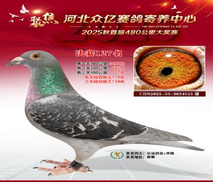 河北众亿赛鸽寄养中心127名