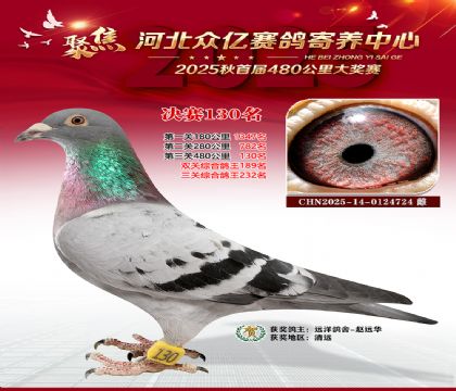 河北众亿赛鸽寄养中心130名