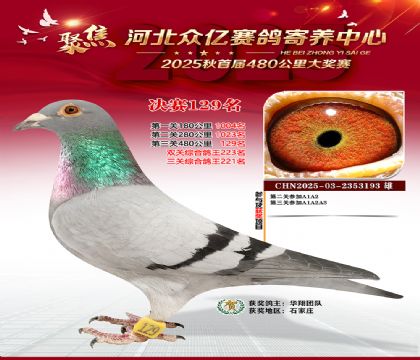 河北众亿赛鸽寄养中心129名