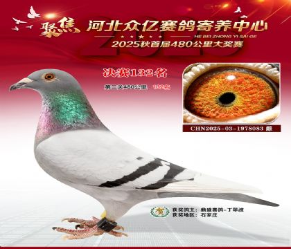 河北众亿赛鸽寄养中心132名