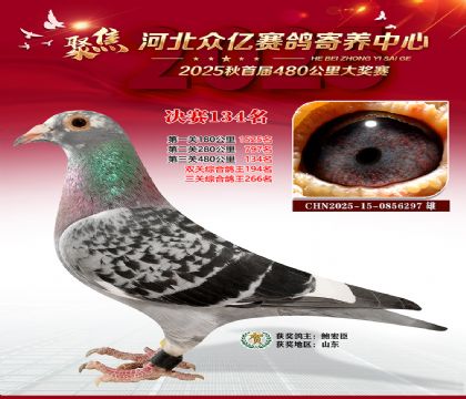 河北众亿赛鸽寄养中心134名