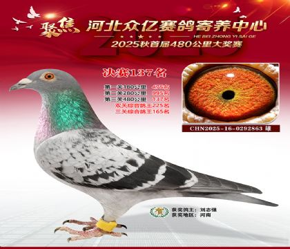 河北众亿赛鸽寄养中心137名