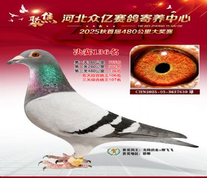 河北众亿赛鸽寄养中心136名