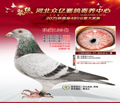 河北众亿赛鸽寄养中心135名