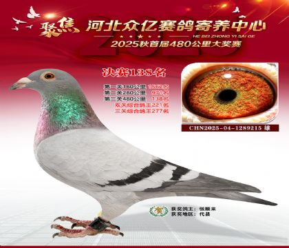 河北众亿赛鸽寄养中心138名