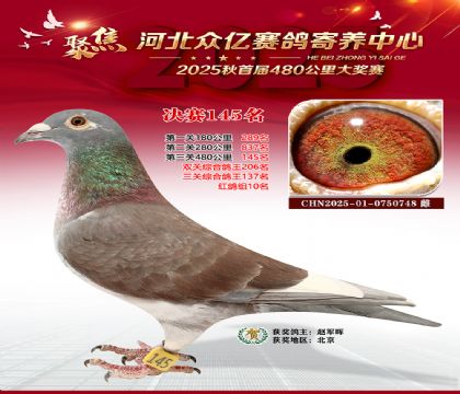 河北众亿赛鸽寄养中心145名