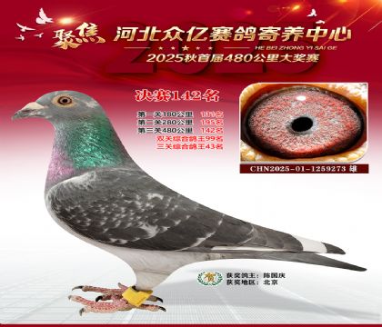 河北众亿赛鸽寄养中心142名