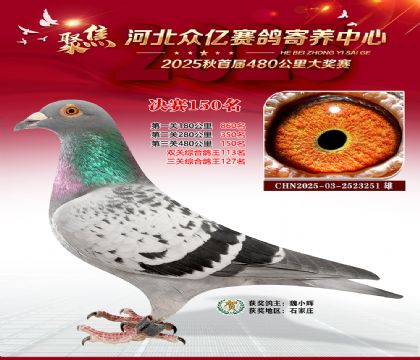 河北众亿赛鸽寄养中心150名