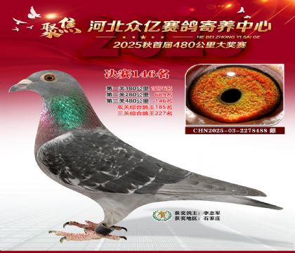 河北众亿赛鸽寄养中心146名