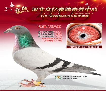 河北众亿赛鸽寄养中心152名