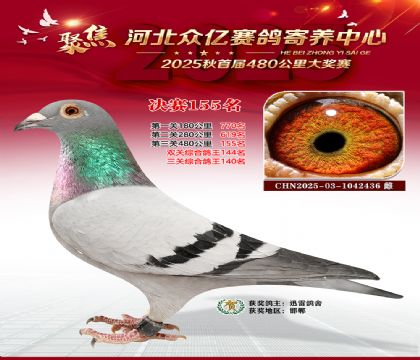 河北众亿赛鸽寄养中心155名