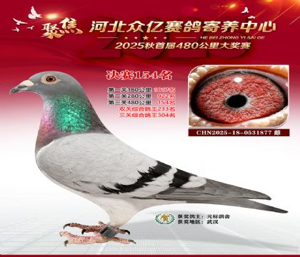 河北众亿赛鸽寄养中心154名