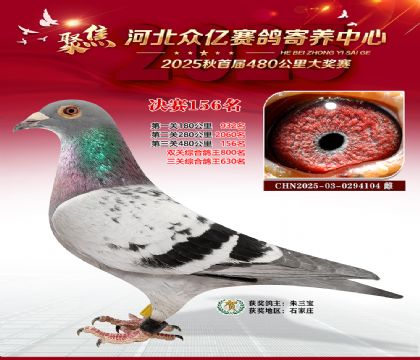 河北众亿赛鸽寄养中心156名