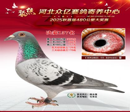 河北众亿赛鸽寄养中心157名