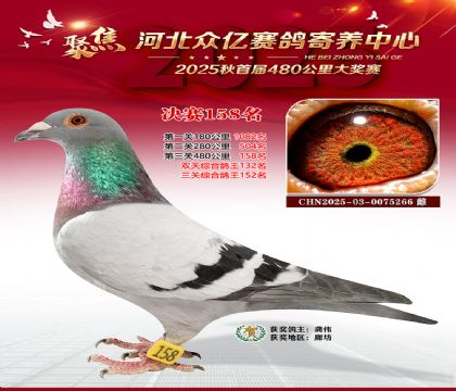 河北众亿赛鸽寄养中心158名