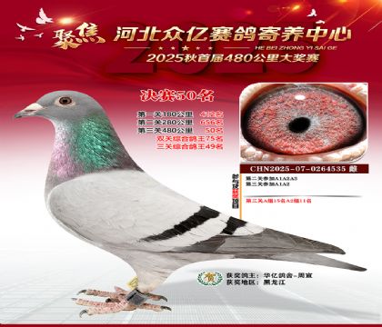 河北众亿赛鸽寄养中心50名