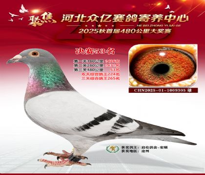 河北众亿赛鸽寄养中心53名