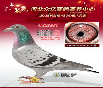 河北众亿赛鸽寄养中心56名