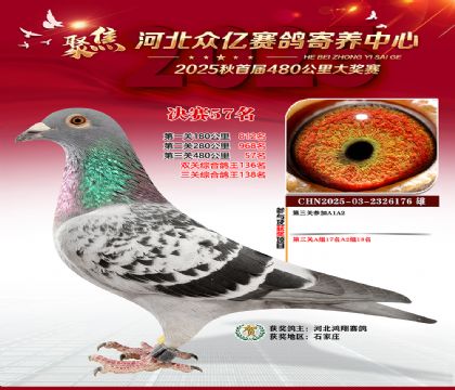 河北众亿赛鸽寄养中心57名