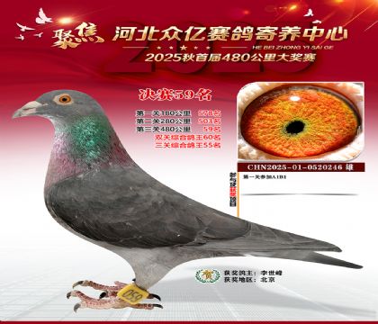 河北众亿赛鸽寄养中心59名