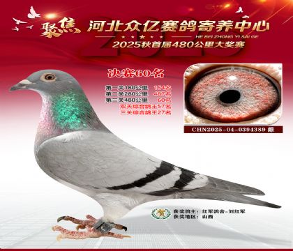 河北众亿赛鸽寄养中心60名