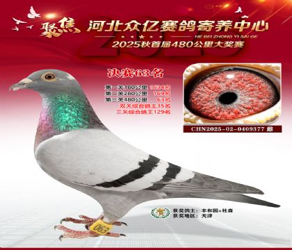 河北众亿赛鸽寄养中心63名