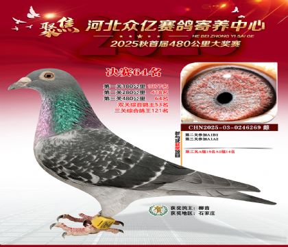 河北众亿赛鸽寄养中心64名