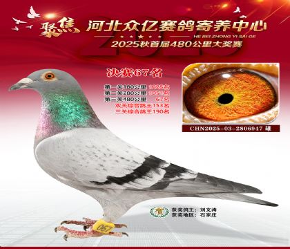 河北众亿赛鸽寄养中心67名