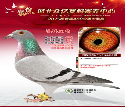 河北众亿赛鸽寄养中心66名