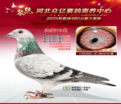 河北众亿赛鸽寄养中心70名