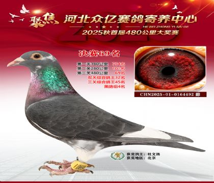 河北众亿赛鸽寄养中心69名