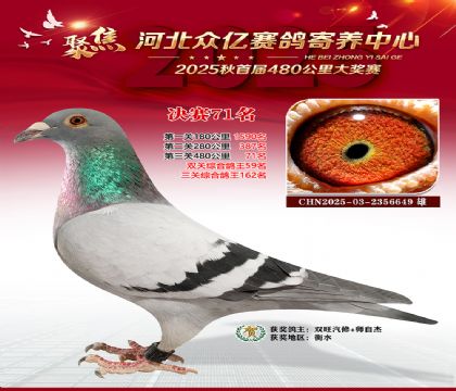 河北众亿赛鸽寄养中心71名