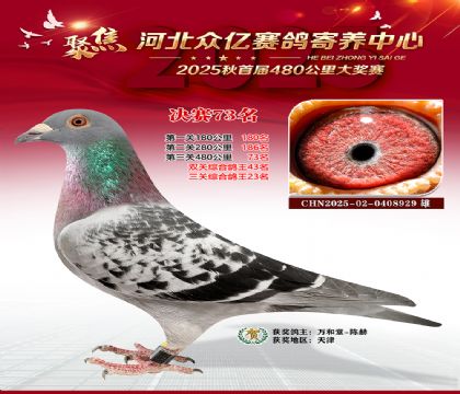 河北众亿赛鸽寄养中心73名