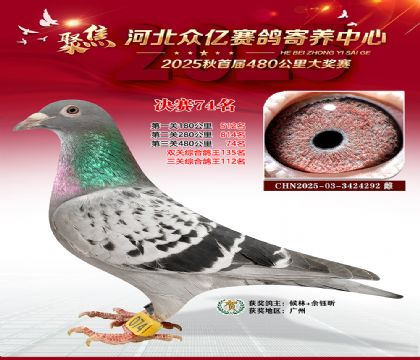 河北众亿赛鸽寄养中心74名