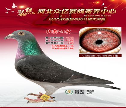 河北众亿赛鸽寄养中心75名