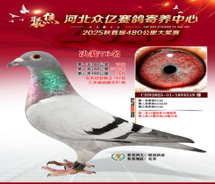 河北众亿赛鸽寄养中心76名