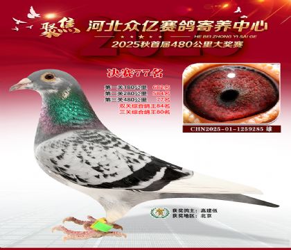 河北众亿赛鸽寄养中心77名