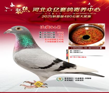 河北众亿赛鸽寄养中心84名