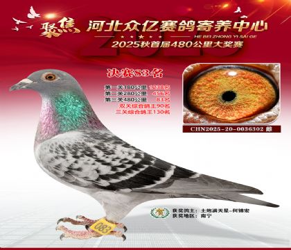 河北众亿赛鸽寄养中心83名