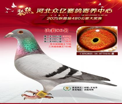 河北众亿赛鸽寄养中心86名