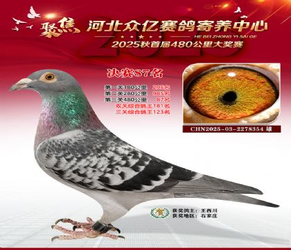 河北众亿赛鸽寄养中心87名