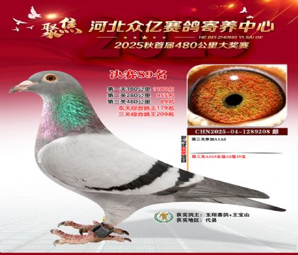 河北众亿赛鸽寄养中心89名