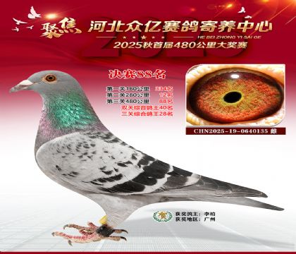 河北众亿赛鸽寄养中心88名