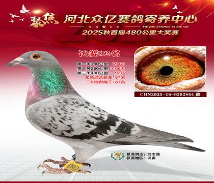 河北众亿赛鸽寄养中心92名