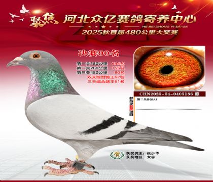 河北众亿赛鸽寄养中心90名