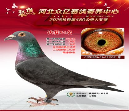 河北众亿赛鸽寄养中心94名