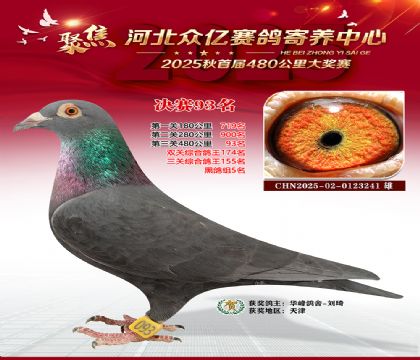 河北众亿赛鸽寄养中心93名