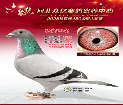 河北众亿赛鸽寄养中心96名