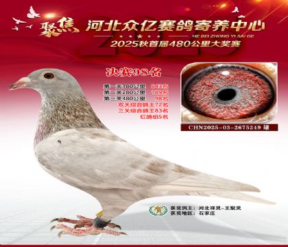 河北众亿赛鸽寄养中心98名