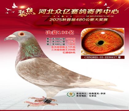 河北众亿赛鸽寄养中心100名